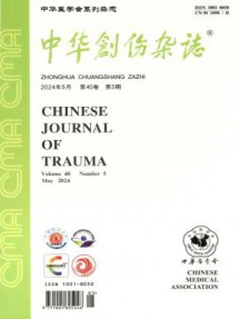 中华创伤杂志